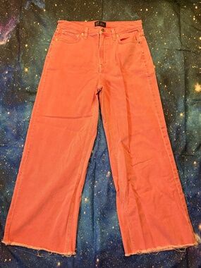 Gap High Rise Wide Leg Red/Pink Jeans size 10/30R